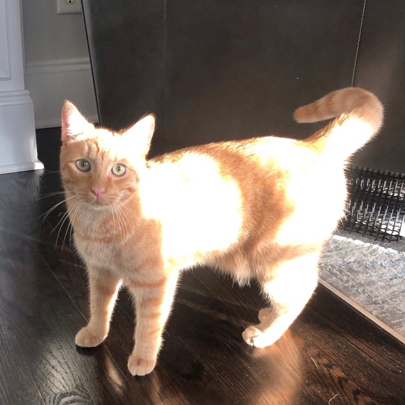 Meet your Posher, Julia - Picture 8 of 8